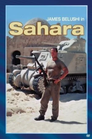 Download Sahara (1995) Dual Audio {Hindi-English} BluRay 480p [350MB] | 720p [950MB] | 1080p [2.1GB]