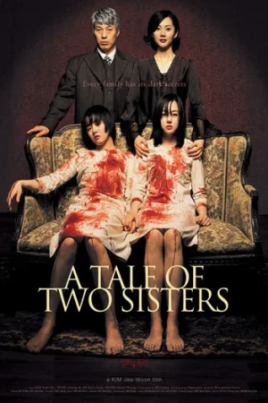 Download A Tale of Two Sisters (2003) BluRay Dual Audio {Hindi-Korean} 480p [410MB] | 720p [980MB] | 1080p [3.4GB]