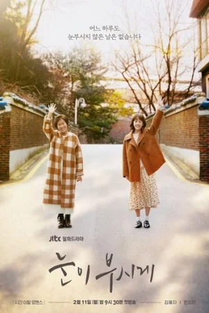 Download The Light in Your Eyes (Season 1) Hindi Dubbed (ORG) [K-Drama Series] Complete 480p | 720p WEB-DL