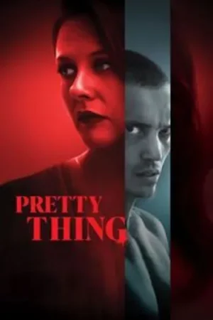 Download Pretty Thing (2025) WEB-DL Dual Audio {Hindi-English} 480p [450MB] | 720p [950MB] | 1080p [1.8GB]