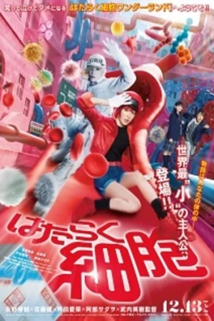 Download Cells at Work! (Season 1) Multi Audio {Hindi-English-Japanese} Anime Series 480p 720p & 1080p Blu-Ray