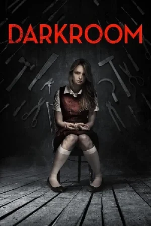 Download Darkroom (2013) Blu-Ray Dual Audio {Hindi-English} 480p [270MB] | 720p [1GB] | 1080p [1.7GB]