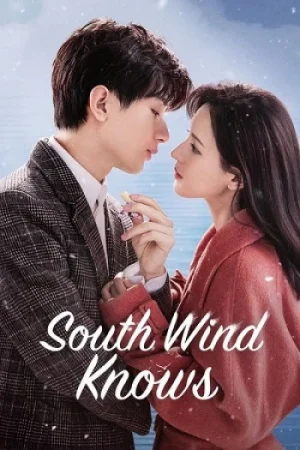 Download South Wind Knows (Season 1) Hindi ORG Dubbed C-Drama Series 480p 720p & 1080p WEB-DL