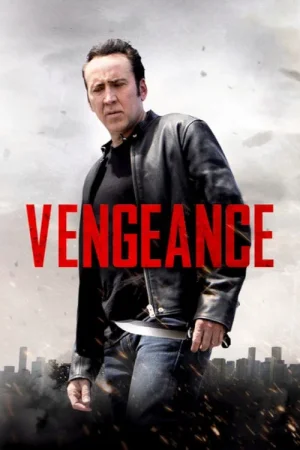 Download Vengeance: A Love Story (2017) Blu-Ray Dual Audio {Hindi-English} 480p [320MB] | 720p [900MB] | 1080p [2GB]